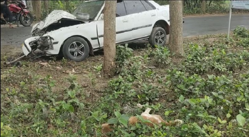 চুয়াডাঙ্গায় গাছের সঙ্গে প্রাইভেটকারের ধাক্কায় চালক নিহত