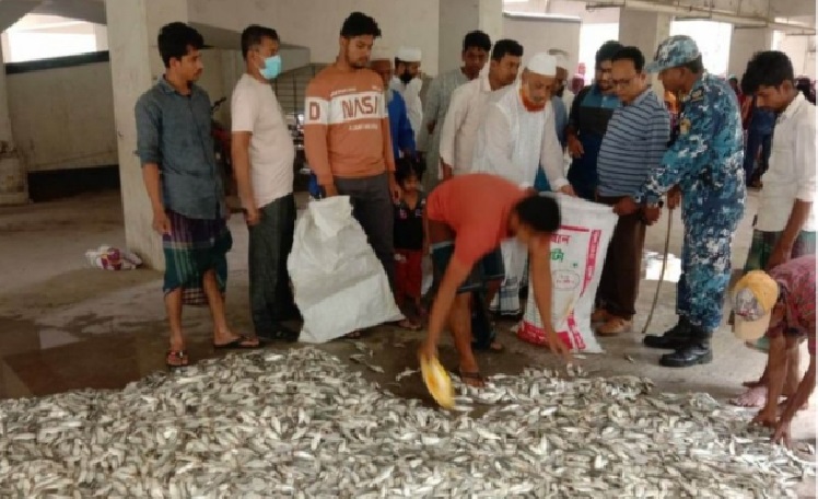 মেঘনা নদীতে অভিযান চালিয়ে ৩৫০০ কেজি জাটকা জব্দ