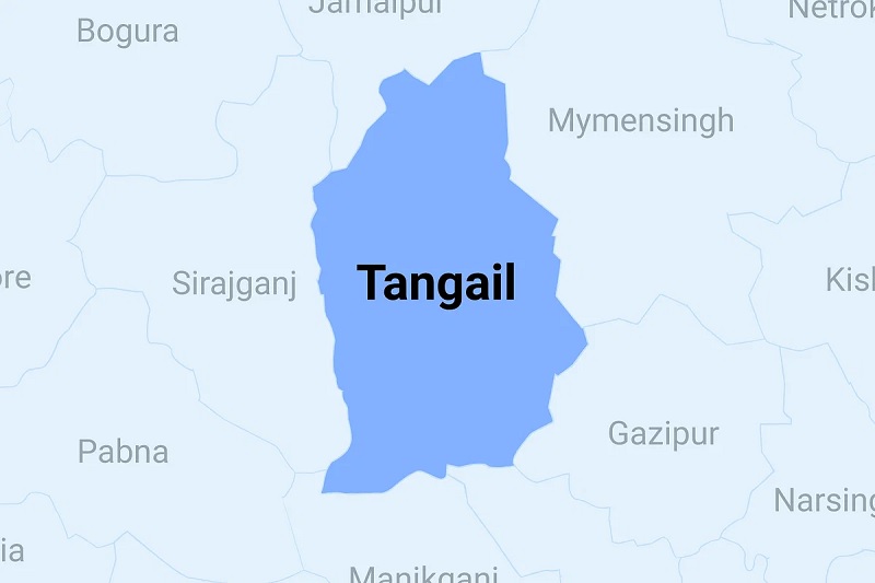 ঘাটাইলে দুর্বৃত্তের হামলায় এক সাংবাদিক আহত