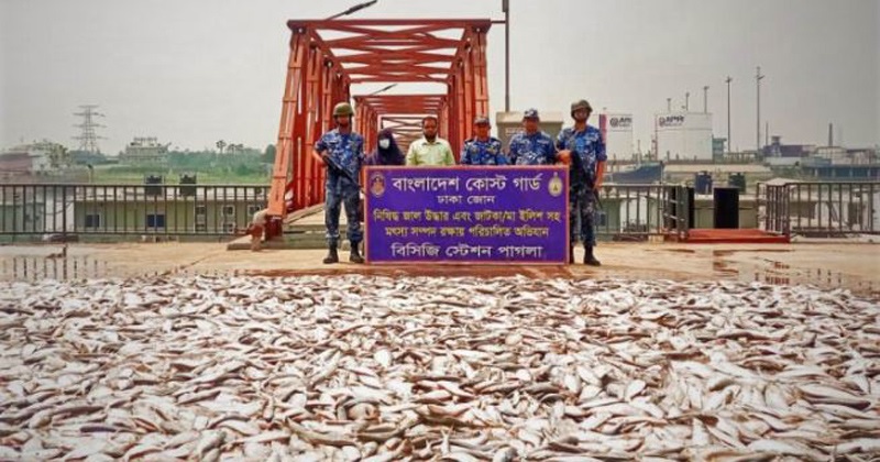 পিকনিক থেকে ফেরার পথে চলন্ত বাসে আগুন