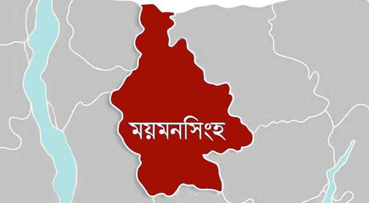 লিচু খেতে গিয়ে গলায় বিচি আটকে শিশুর মৃত্যু