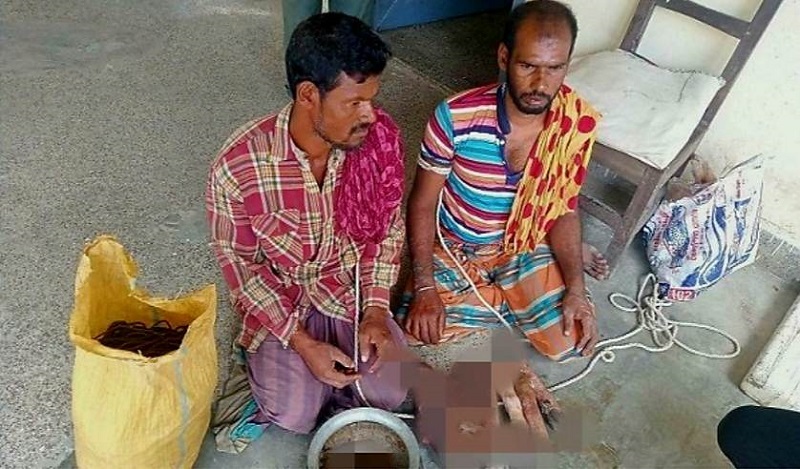 মাংসসহ সুন্দরবন থেকে দুই হরিণ শিকারী আটক