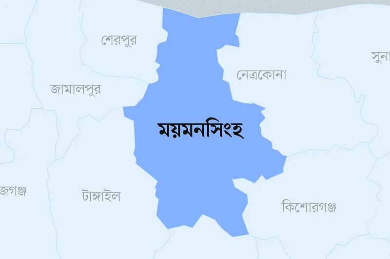 ময়মনসিংহে যুবককে পুঁড়িয়ে হত্যার চেষ্টা, আটক ২