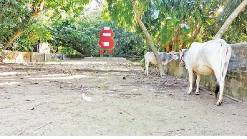 কর্তৃপক্ষের গাফিলতির কারণে অযত্ন-অবহেলায় পড়ে আছে কাশিয়াবাড়ির একাত্তরের বধ্যভূমি