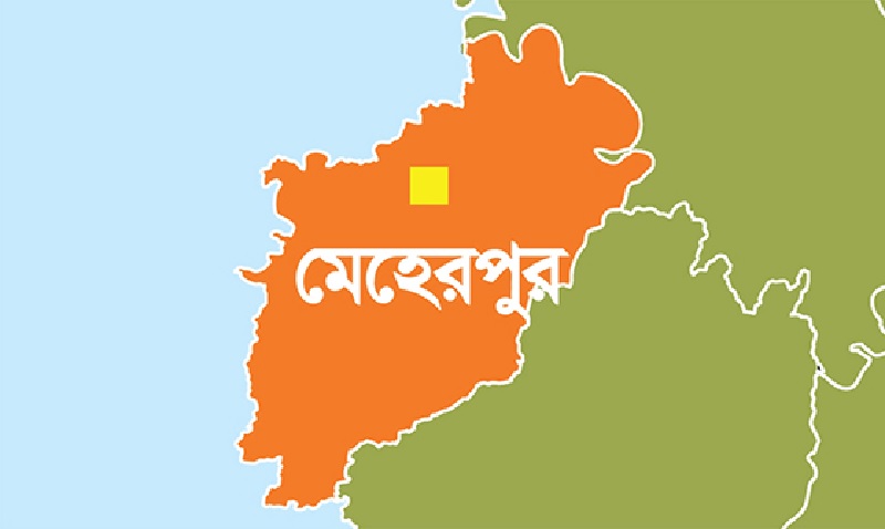 মেহেরপুরে নবজাতককে হত্যা চেষ্টায় ব্যর্থ হয়ে ৪০ হাজারে বিক্রি