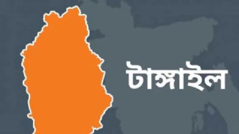 কালিহাতিতে ৯২ বছরের বৃদ্ধাকে ধর্ষণের অভিযোগে যুবক গ্রেপ্তার