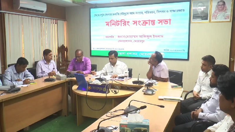১৫ মে থেকে মেহেরপুরে আম সংগ্রহ শুরু