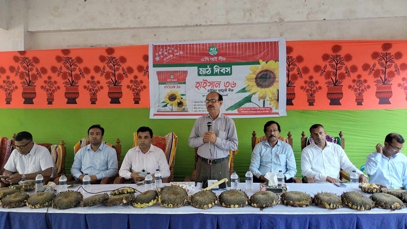 ভোজ্য তেলের চাহিদা পূরনে পটুয়াখালীতে সূর্যমূখীর মাঠদিবস