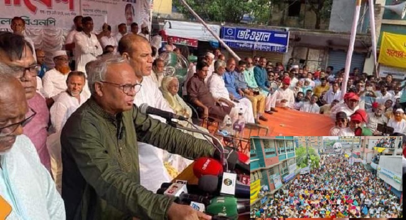 সংবিধান কি বড় পাথর যে সংশোধন করা যাবে না: রুহল কবির