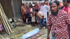 চুয়াডাঙ্গায় পুকুরের পানিতে ডুবে দুই শিশুর মৃত্যু