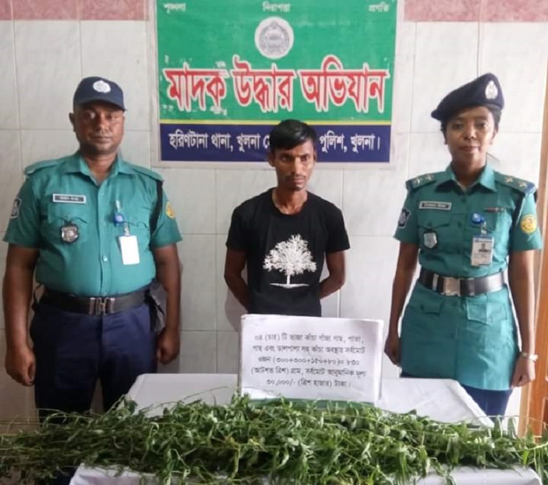 খুলনায় ইয়াবা ট্যাবলেট-গাঁজার গাছসহ গ্রেপ্তার ৩