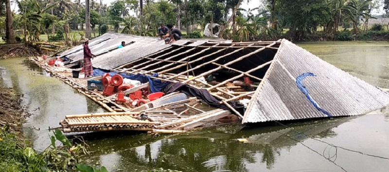 নড়াইলে ঝড়ের কবলে পড়ে নিঃস্ব খামারী