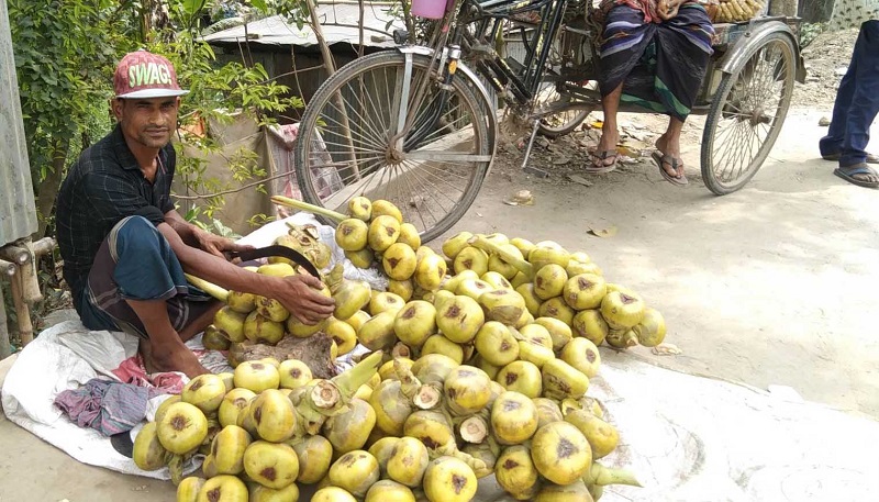 নড়াইলে গরমে বেড়েছে তালের শাঁসের কদর