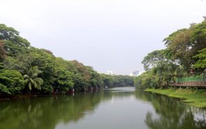 ধানমন্ডি লেকে ভাসছিল শিশুর মরদেহ