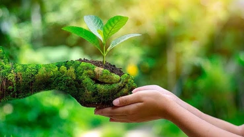 বিশ্ব পরিবেশ দিবস আজ
