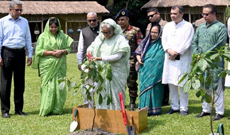 জাতীয় বৃক্ষরোপণ কর্মসূচি উদ্বোধন করলেন প্রধানমন্ত্রী