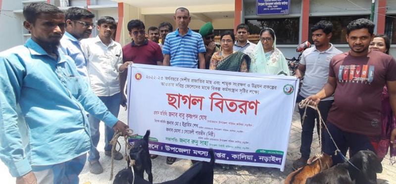 কালিয়ায় ২০ জেলে পরিবার পেল ছাগল