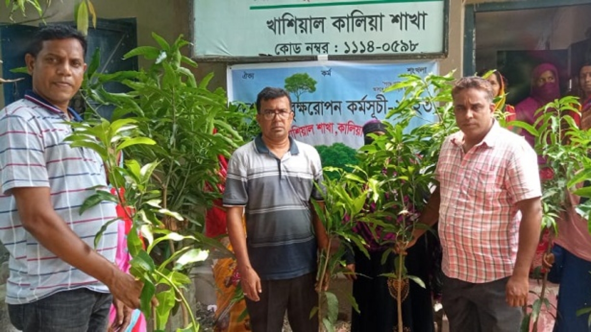 কালিয়ায় গ্রামীণ ব্যাংকের আটটি শাখায় বৃক্ষরোপণ উদ্বোধন