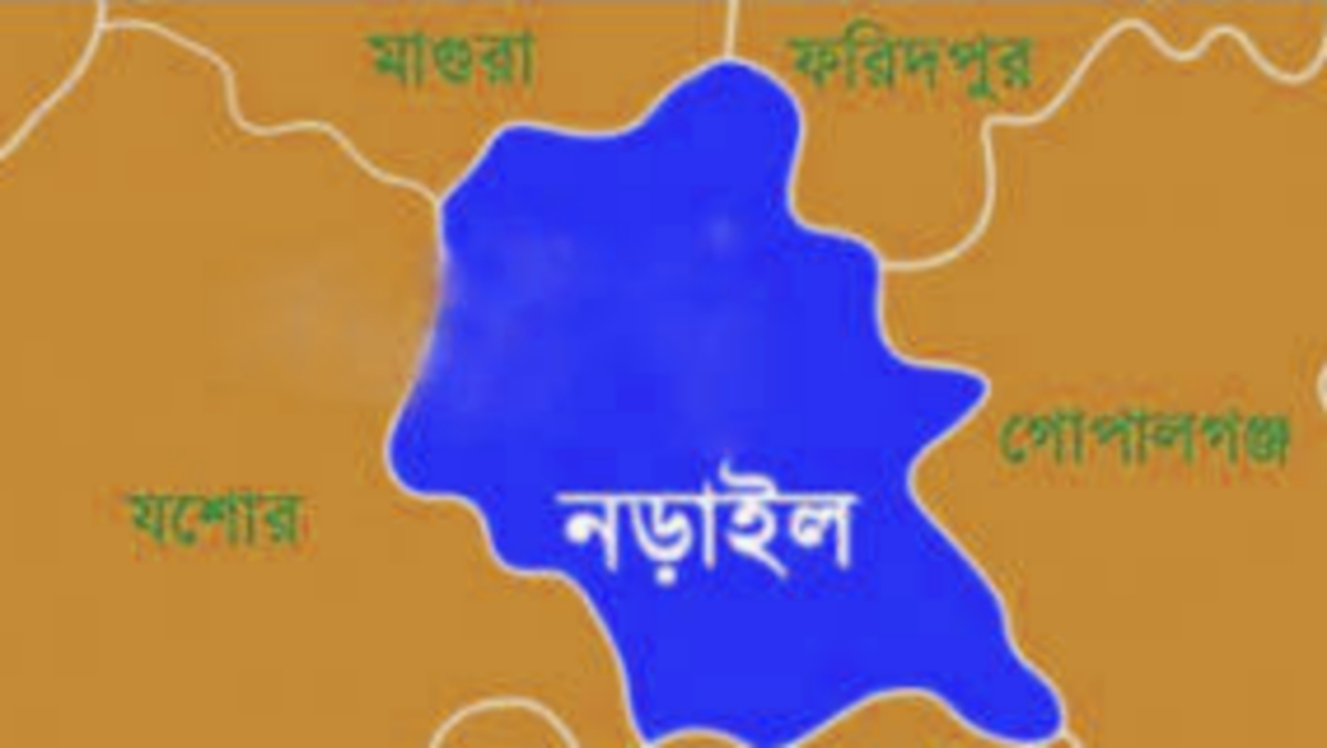 নড়াইলে ভাতিজার হাতে চাচা খুন