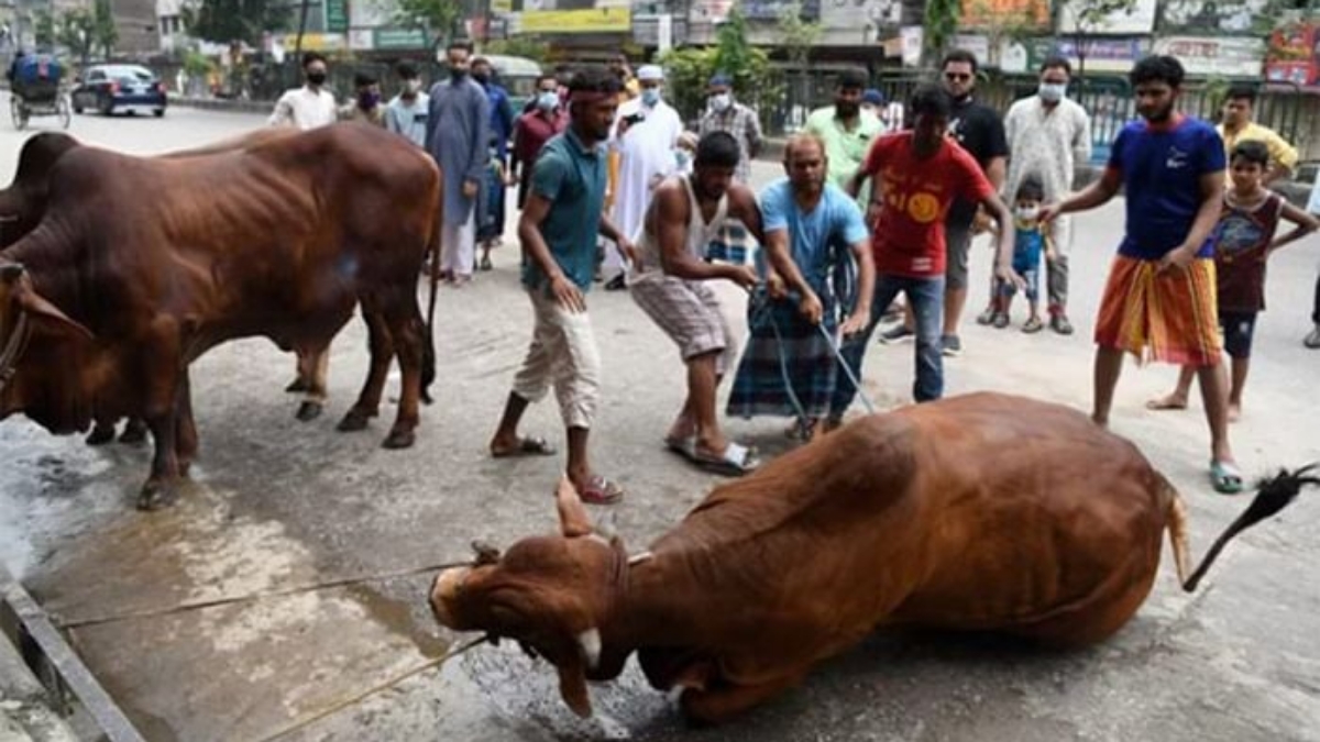ঈদের দ্বিতীয় দিনেও চলছে পশু কোরবানি