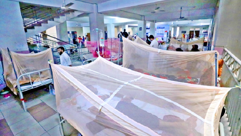ডেঙ্গুতে আরও ২ জন প্রাণ হারালেন, হাসপাতালে নতুন ১৮০ রোগী