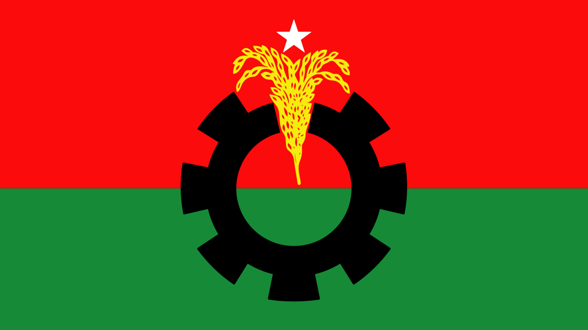 আয়-ব্যয়ের হিসাব দিলো বিএনপি