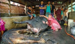 পশুর সাথে শত্রুতা, দুর্বৃত্তের দেয়া আগুনে নিঃস্ব পরিবার