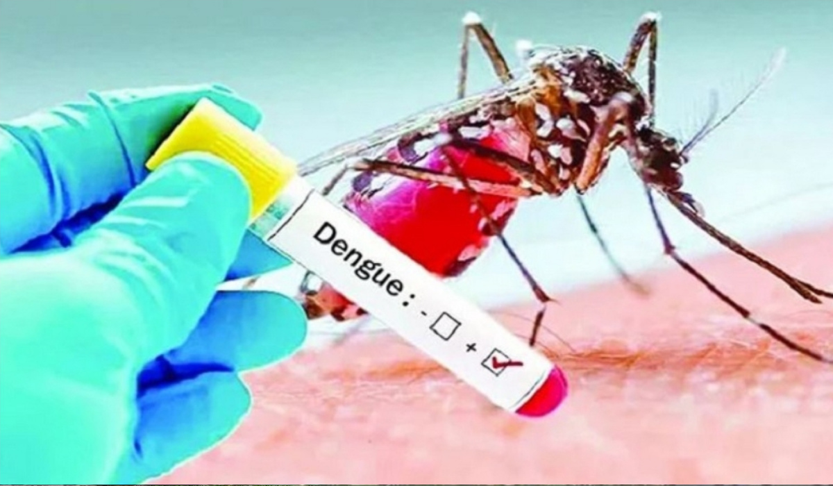 ডেঙ্গুতে আরও ৫ মৃত্যু, হাসপাতালে ভর্তি হাজার ছাড়ালো