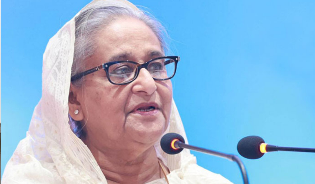 রোহিঙ্গাদের আশ্রয় দিয়েছি, আমাদের মানবতাবিরোধী বলে কী করে: প্রধানমন্ত্রী