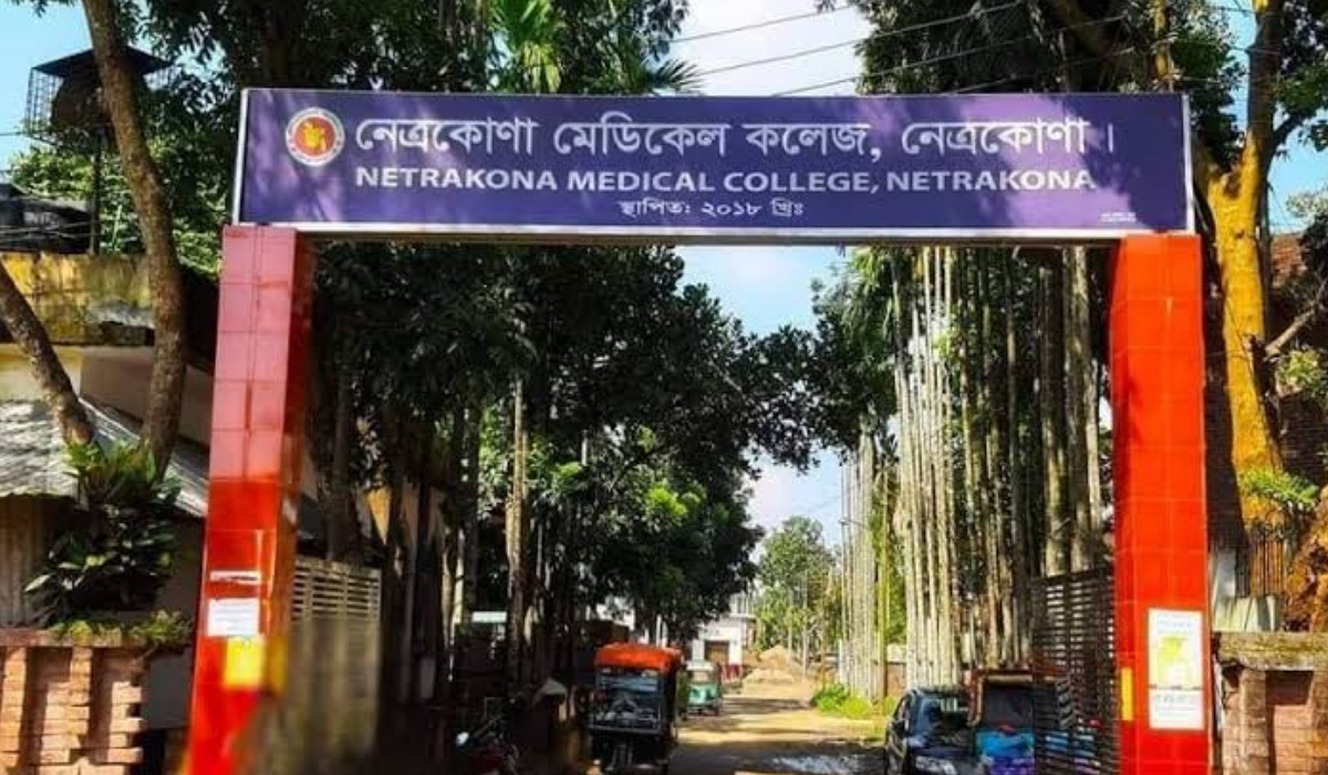 হাসপাতালের গাছ কাটলেন অধ্যক্ষ