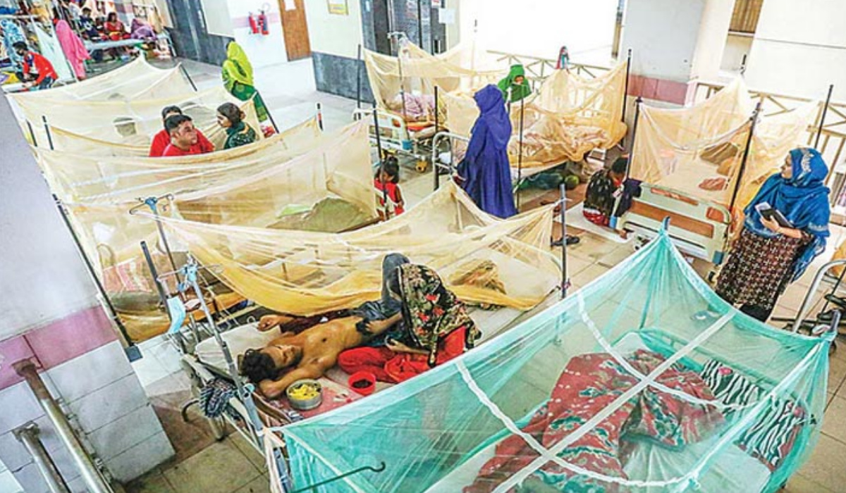 ডেঙ্গুতে আরও ১০ মৃত্যু, হাসপাতালে ২২০২