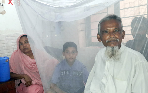 নড়াইলে বাড়ছে ডেঙ্গু রোগীর সংখ্যা