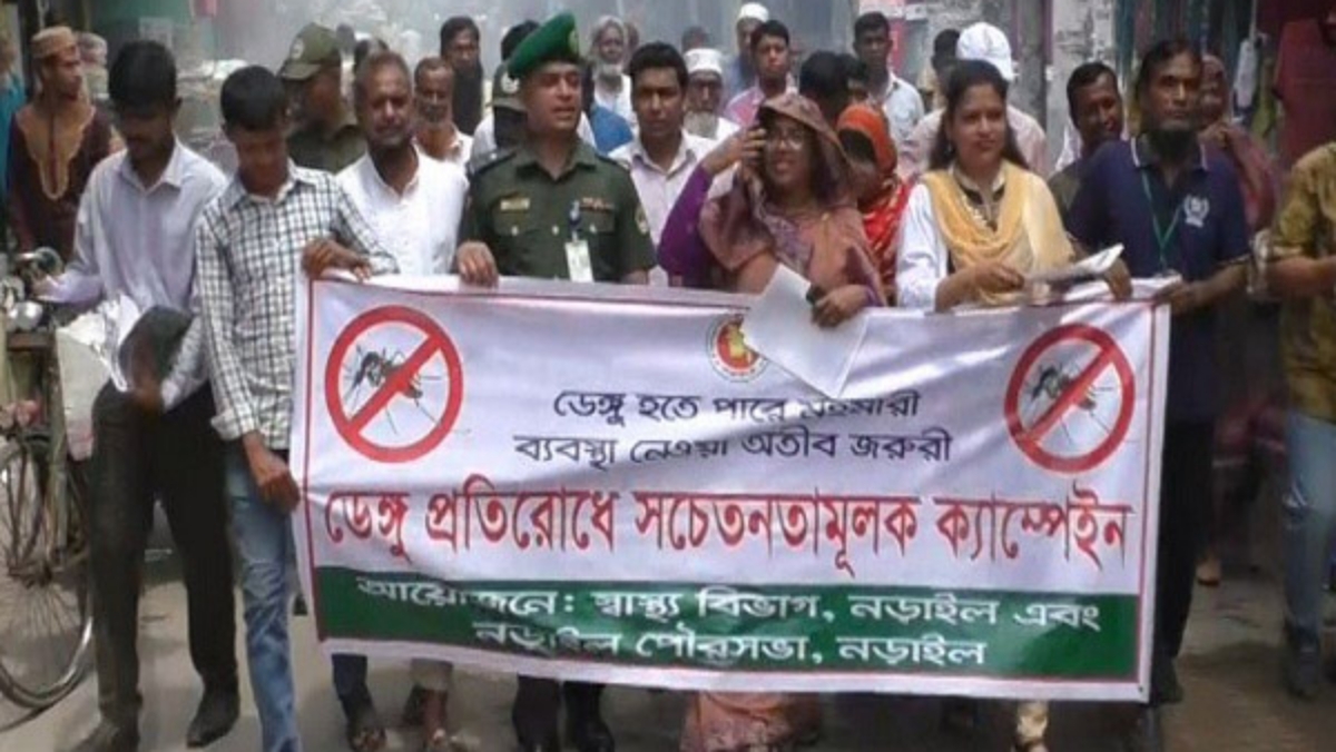 নড়াইলে ডেঙ্গু প্রকোপ বাড়ছে