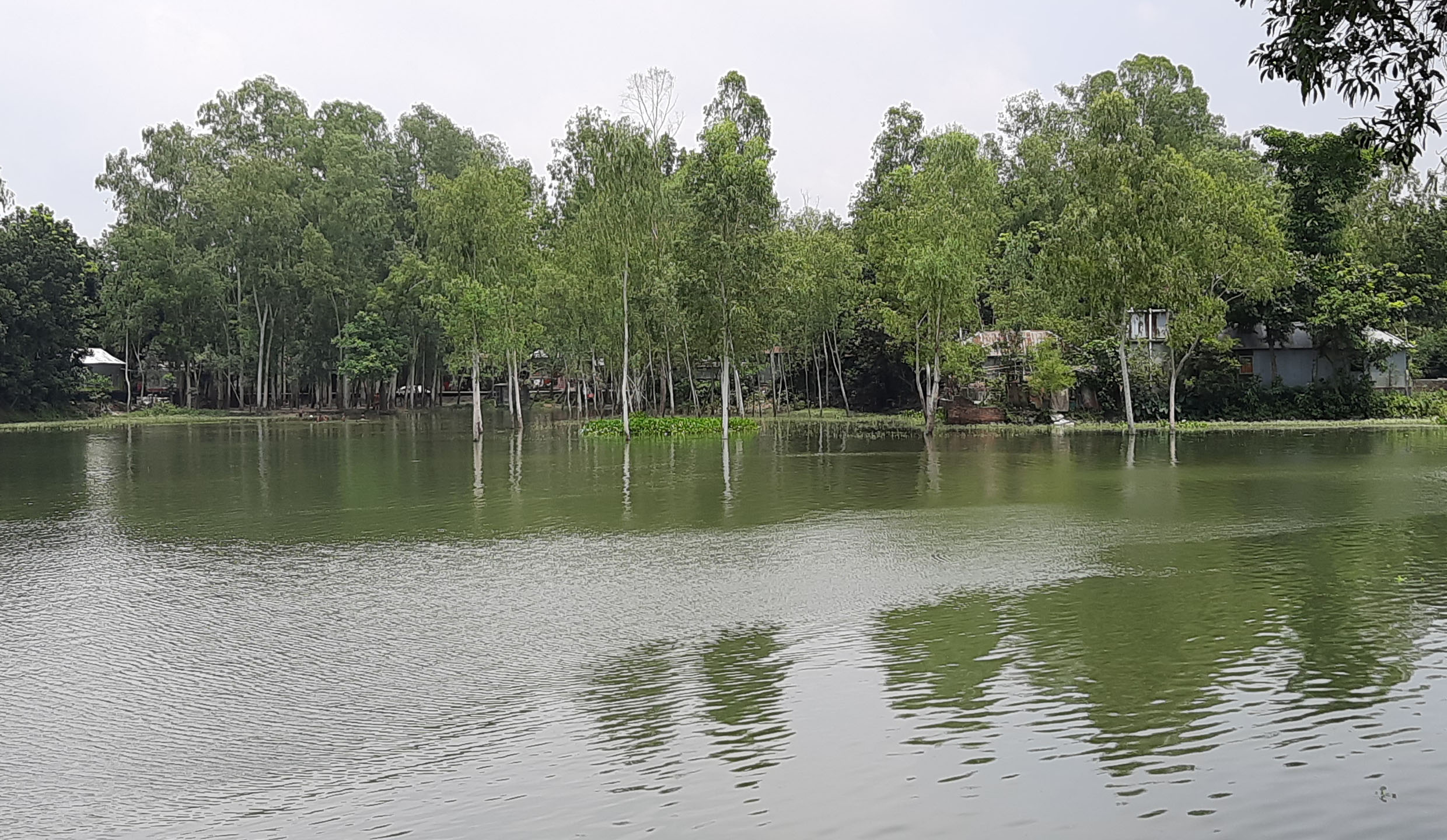 সিরাজগঞ্জে যমুনার পানি বিপৎসীমা ছুঁই ছুঁই, প্লাবিত নিম্নাঞ্চল