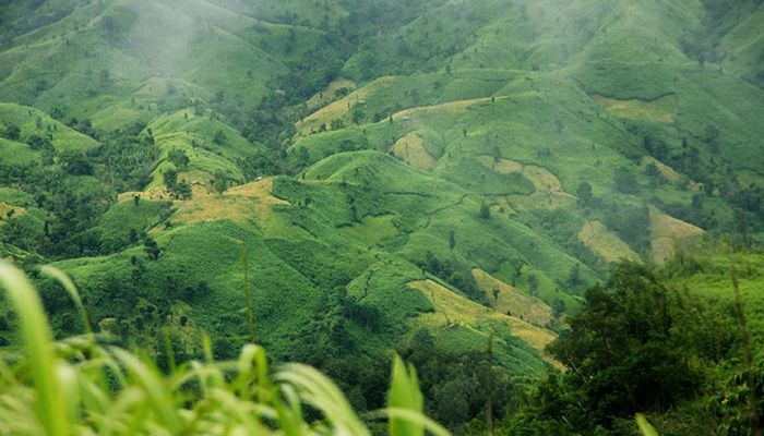 ভ্রমণ নিষেধাজ্ঞা উঠল রুমা ও থানচি উপজেলায়