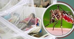যশোরে ডেঙ্গুতে ২৪ ঘন্টায় ২ জনের মৃত্যু, আক্রান্ত ৯