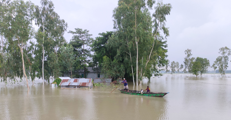 দুই নদীর পানি বিপৎসীমার ওপরে, পানিবন্দি ১৫ হাজার মানুষ