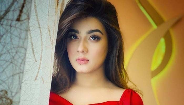 ফের মা হতে যাওয়ার ইঙ্গিত দিলেন মাহি