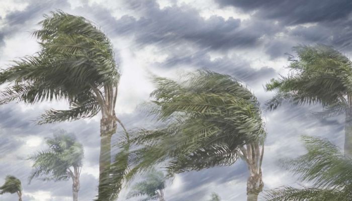 দেশের সাত জেলায় দুপুরের মধ্যে ঝোড়ো হাওয়ার আশঙ্কা