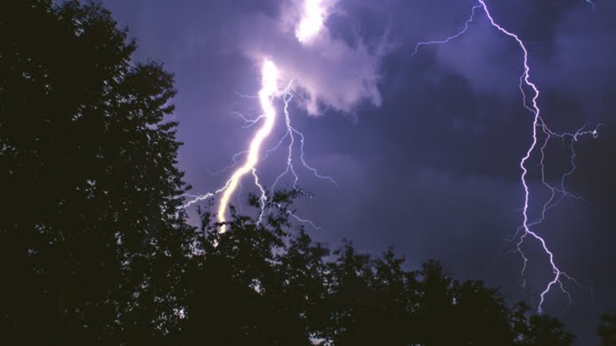 বকশীগঞ্জে বজ্রপাতে মারা গেলো ৫ গরু, আহত গৃহবধূ