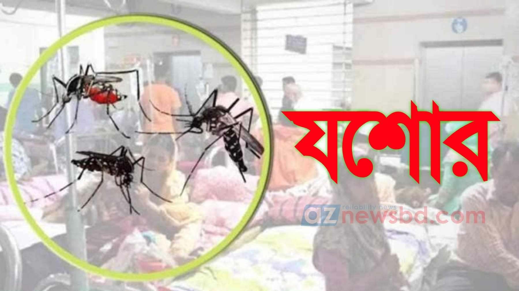 যশোরে ৯০০ ছাড়ালো ডেঙ্গু আক্রান্তের সংখ্যা