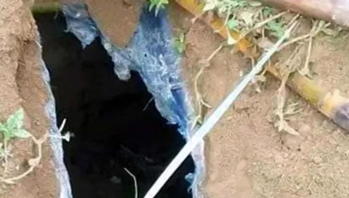 দিনাজপুরে কবরস্থান থেকে ১১টি কঙ্কাল উধাও