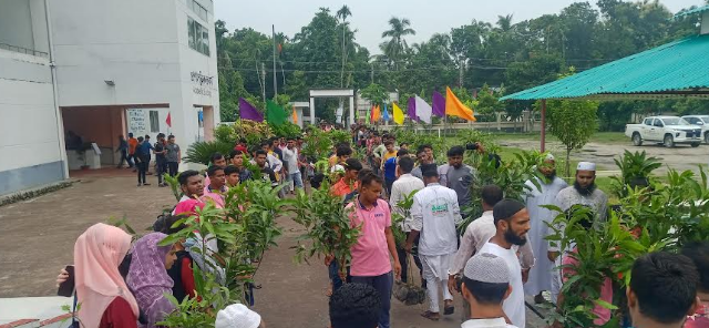 নড়াইল টিটিসিতে গাছের চারা বিতরণ