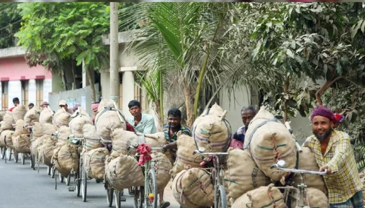 নির্ধারিত দামে বিক্রি না হলে অচিরেই আলু আমদানির সুপারিশ নির্ধারিত দামে বিক্রি না হলে অচিরেই আলু আমদানির সুপারিশ