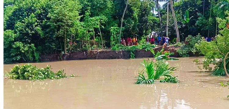 ঠাকুরগাঁওয়ে আ’লীগের মনোনয়ন প্রত্যাশী মোহাম্মদ আলীর গণসংযোগ