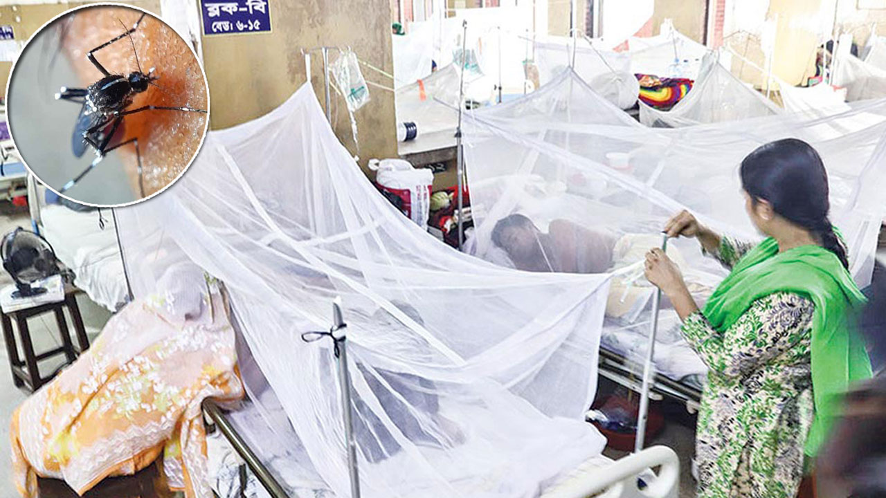 একদিনে আরও ১৯১৭ জনের ডেঙ্গু শনাক্ত, মৃত্যু ১১
