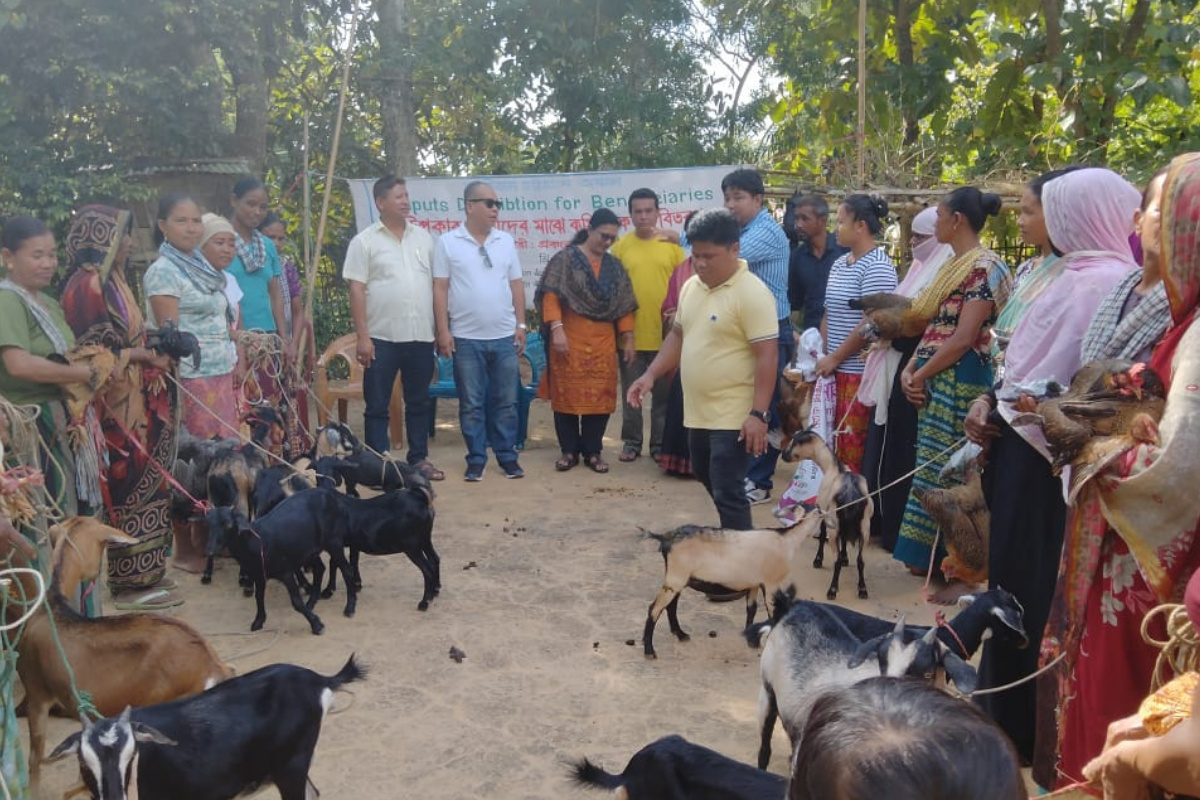 রাঙামাটিতে গবাদি পশু ও হাঁস মুরগি পালন বিষয়ক প্রশিক্ষণ প্রদান