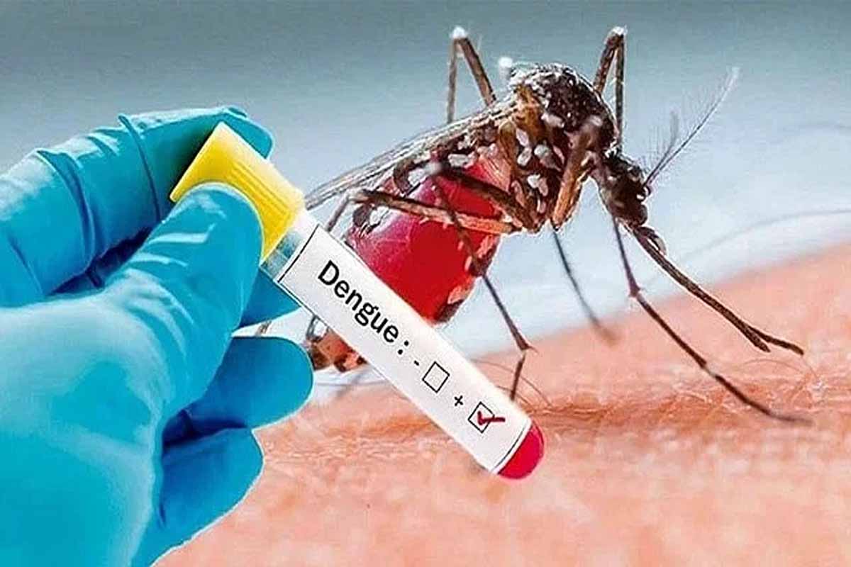 ডেঙ্গু নিয়ে হাসপাতালে ভর্তি ২৫ রোগী, ২৩ জনই ঢাকার বাইরের
