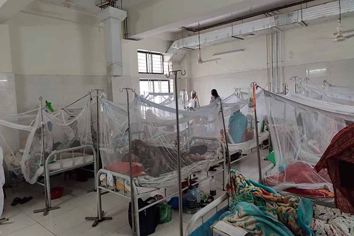 ডেঙ্গুতে টানা চার দিন মৃত্যু নেই, ২৪ ঘণ্টায় হাসপাতালে ভর্তি ১৮