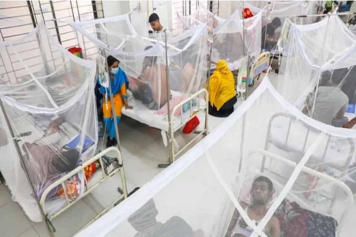 ডেঙ্গুতে দুজনের মৃত্যু, হাসপাতালে ভর্তি ২৩